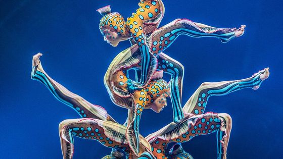 Nesoustředění znamená katastrofu. Pod Hradem se usídlil cirkus, kde gravitace neplatí