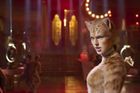 Nejhorší snímek roku: Na anticenu je nominován muzikál Cats i poslední film o Rambovi