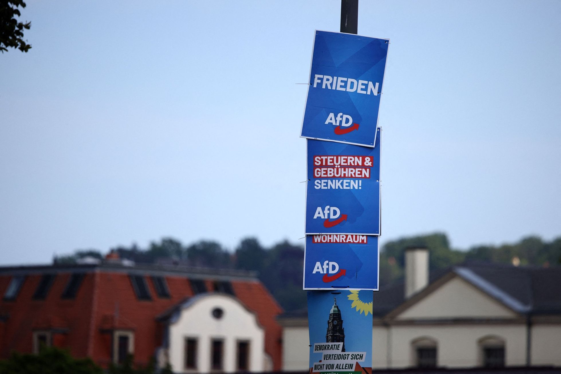 Německo AfD 4