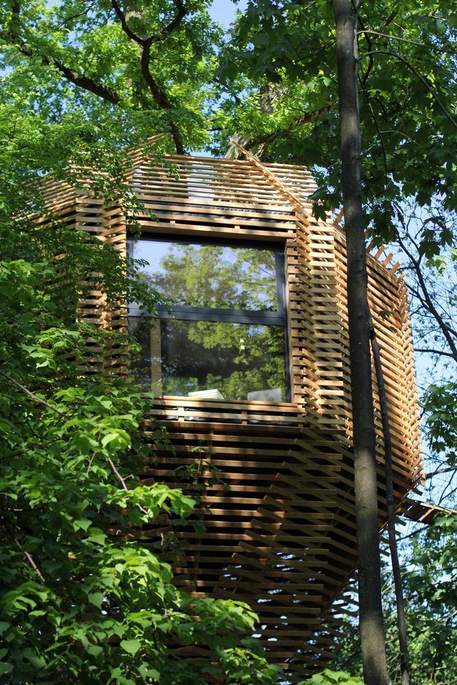 Treehouse, Lavit