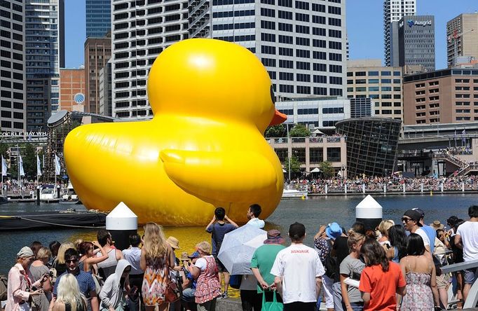 A gigantic, yellow rubber duck is floated into Sydney's Darling Harbour on January 5, 2013 to kick off Sydney's annual arts festival, a celebration which combines high-art with popular entertainment. The rubber duck by Dutch artist Florentijn Hofman forms part of the 2013 Sydney Festival which will present more than 750 artists from about 17 countries around the world, with many of the events free and family-oriented to showcase the personality of Australia's biggest city.