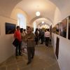 Moravské Toskánsko - mezinárodní výstava fotografií