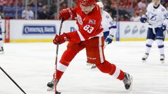 Tomáš Nosek, Deroit Red Wings, NHL 2016/18