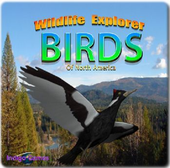 Wildlife Explorer: Birds of America