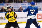 Hokejový Litvínov v potížích. Skončí jeho akcionář a generální partner