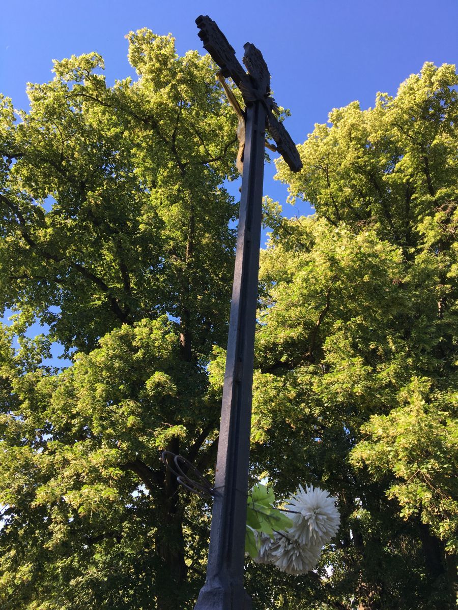 Lipová alej Alej roku 2022