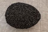 Podle organizátorů málokterá surovina v umění zaujímá tak výrazné postavení jako uhlí. Na snímku je dílo Černé vejce – nový začátek z roku 2013 od Dagmar Šubrtové.