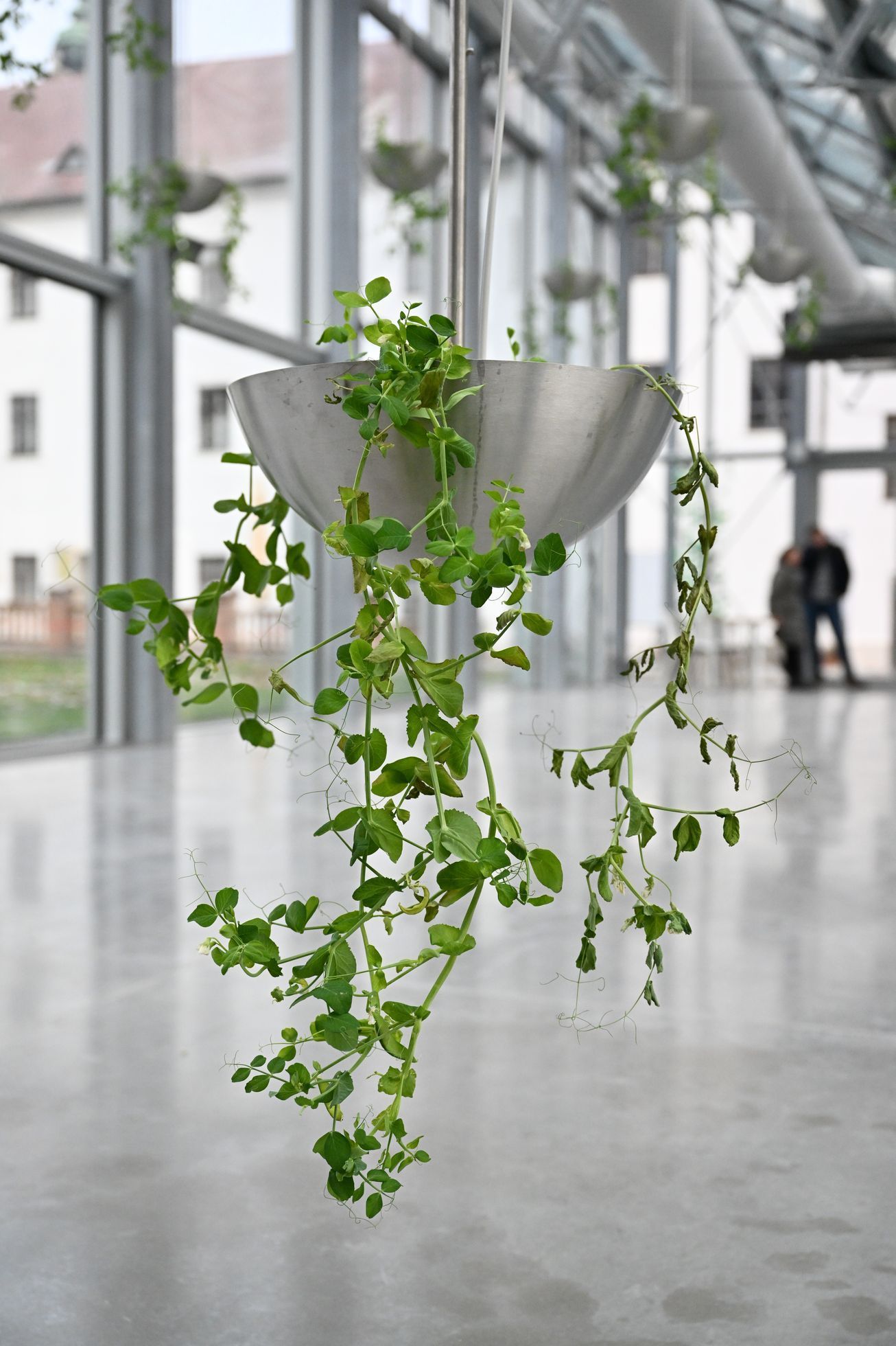 Mendelův salon, Muzeum starobrněnského opatství, 2022