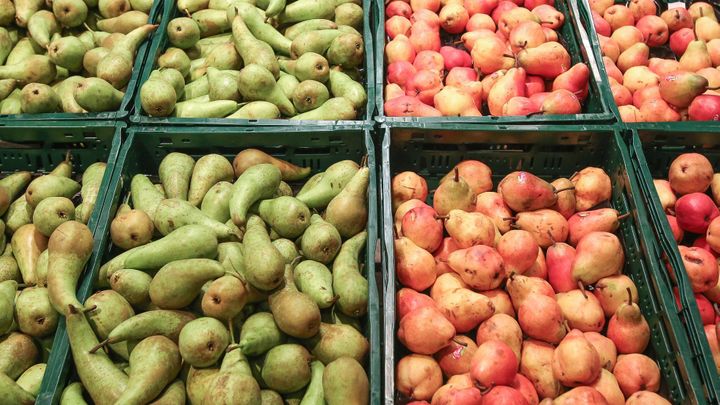 Hrušek bude v Evropě nejméně za 30 let. Ceny půjdou nahoru, varují ovocnáři; Zdroj foto: Jakub Plíhal