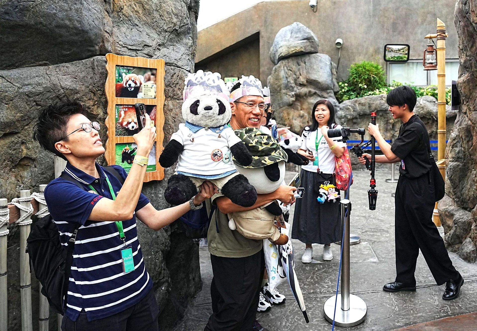 Hong Kong, Čína, panda, oslava, zoo