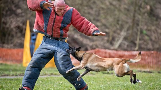 Vojáka Tomáše Procházku pohřbí v Prachaticích. Podívejte se, jak si ho lidé pamatují