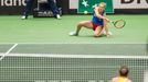 Halepová vs. Siniaková, Fed Cup, Česko - Rumunsko