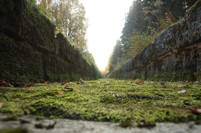 Šumava