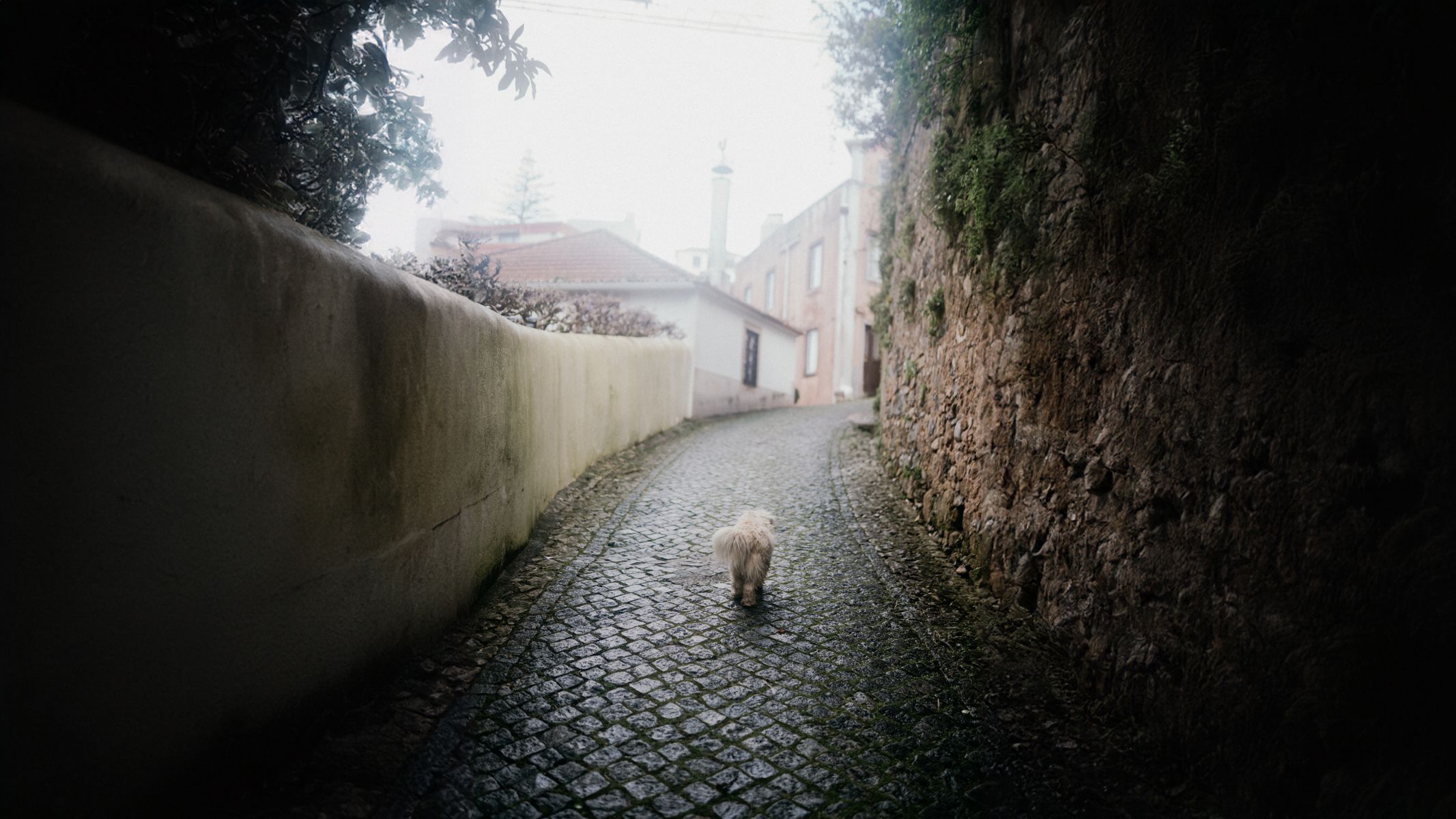 Lisabon, Sintra, Portugalsko, cestování, turistika