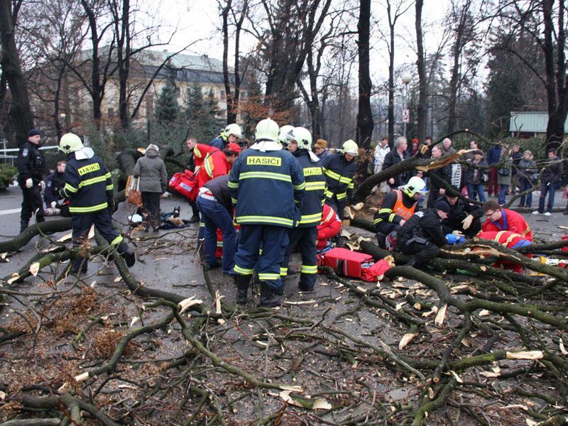 Strom ve Zlíně spadl na lidi