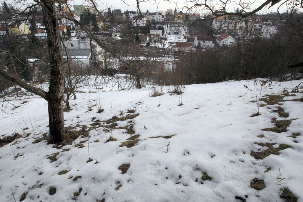 Po stopách Aničky J. 7 láhev Pozemek sousedící s Janotkovými