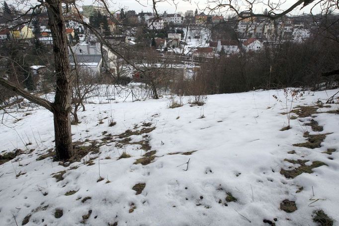 Na neudržovaném pozemku,který sousedí s parcelou Janatkových, obviněný muž strávil několik dní. Okolí sledoval dalekohledem.