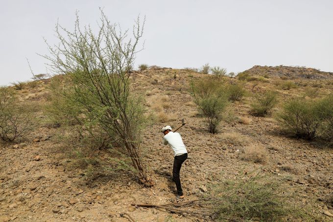 Občanská válka v Jemenu přispívá i k odlesňování a rozšiřování pouští.