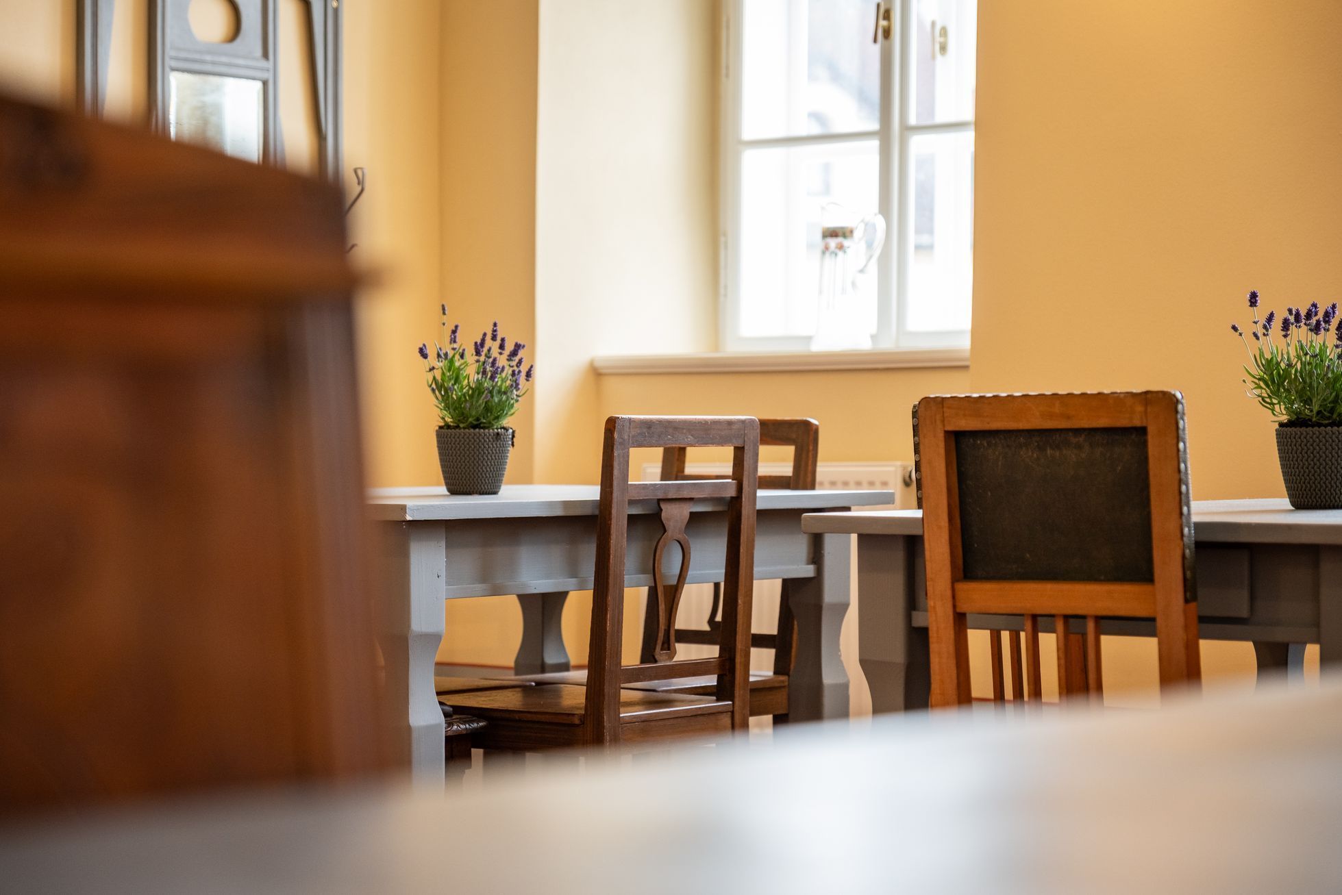 Chřibská, památka, záchrana, rekonstrukce, příběh