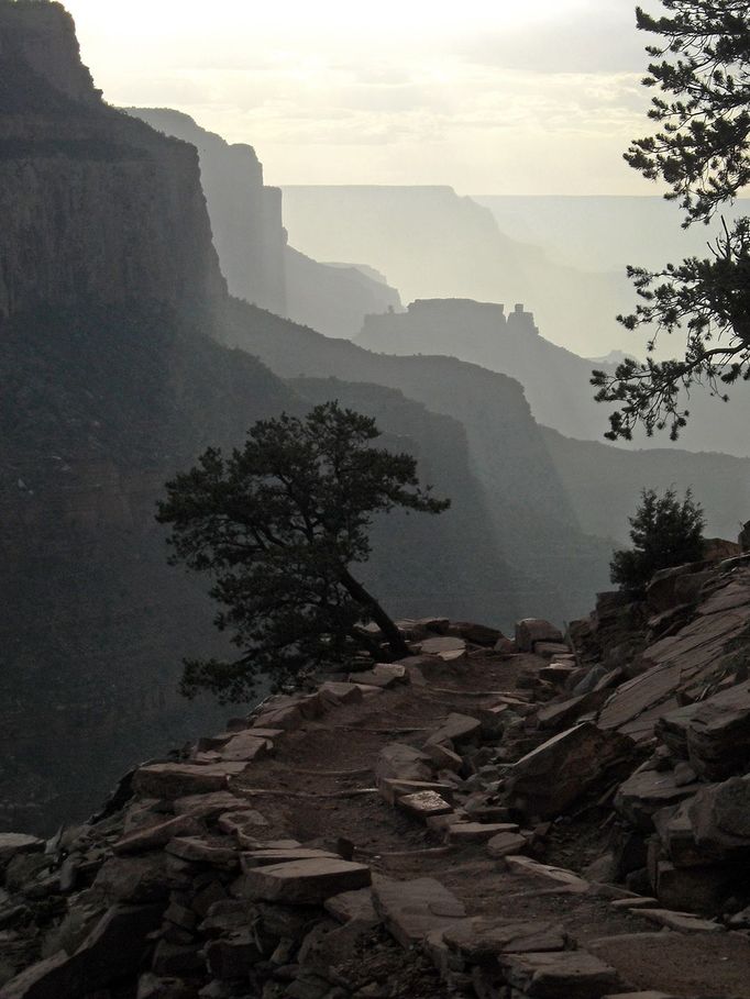 Národní park Grand Canyon slaví 100 let od založení.