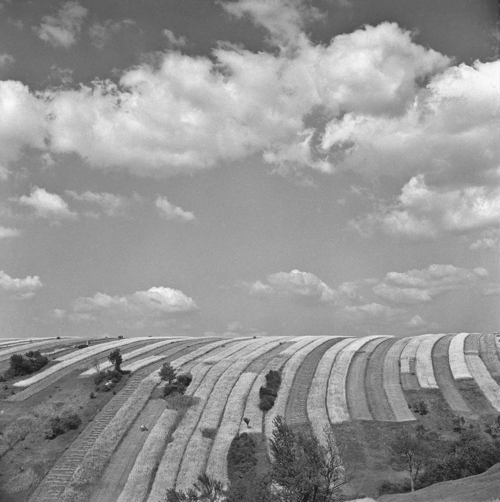 Ferdinand Bučina - fotografie