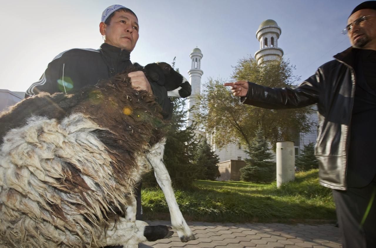 Foto: Muslimský svátek Íd al-adhá přinesl smrt nespočtu zvířat