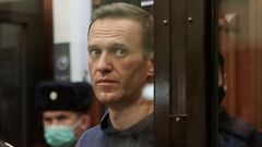 Navalnyj, soud, protesty 7
