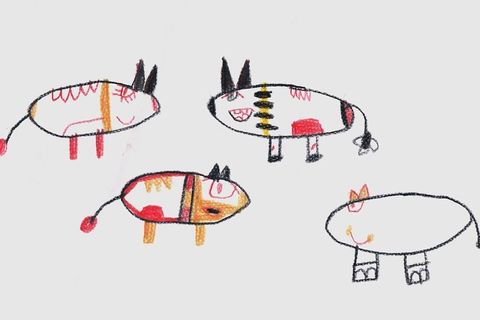 Když má příroda smysl pro humor. Dokážete správně pojmenovat 9 opravdu divných zvířat