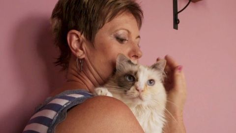 Žárlivá kočka vykonávala potřebu jen na schodišti, pomohla kočičí psycholožka