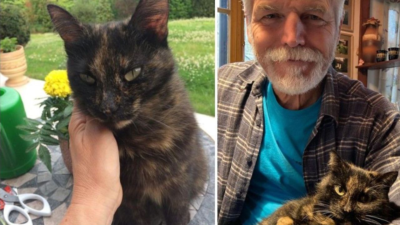 První kočka Česka uhynula, tvrdí deník. Micka Pavlových byla poslední dny nemocná