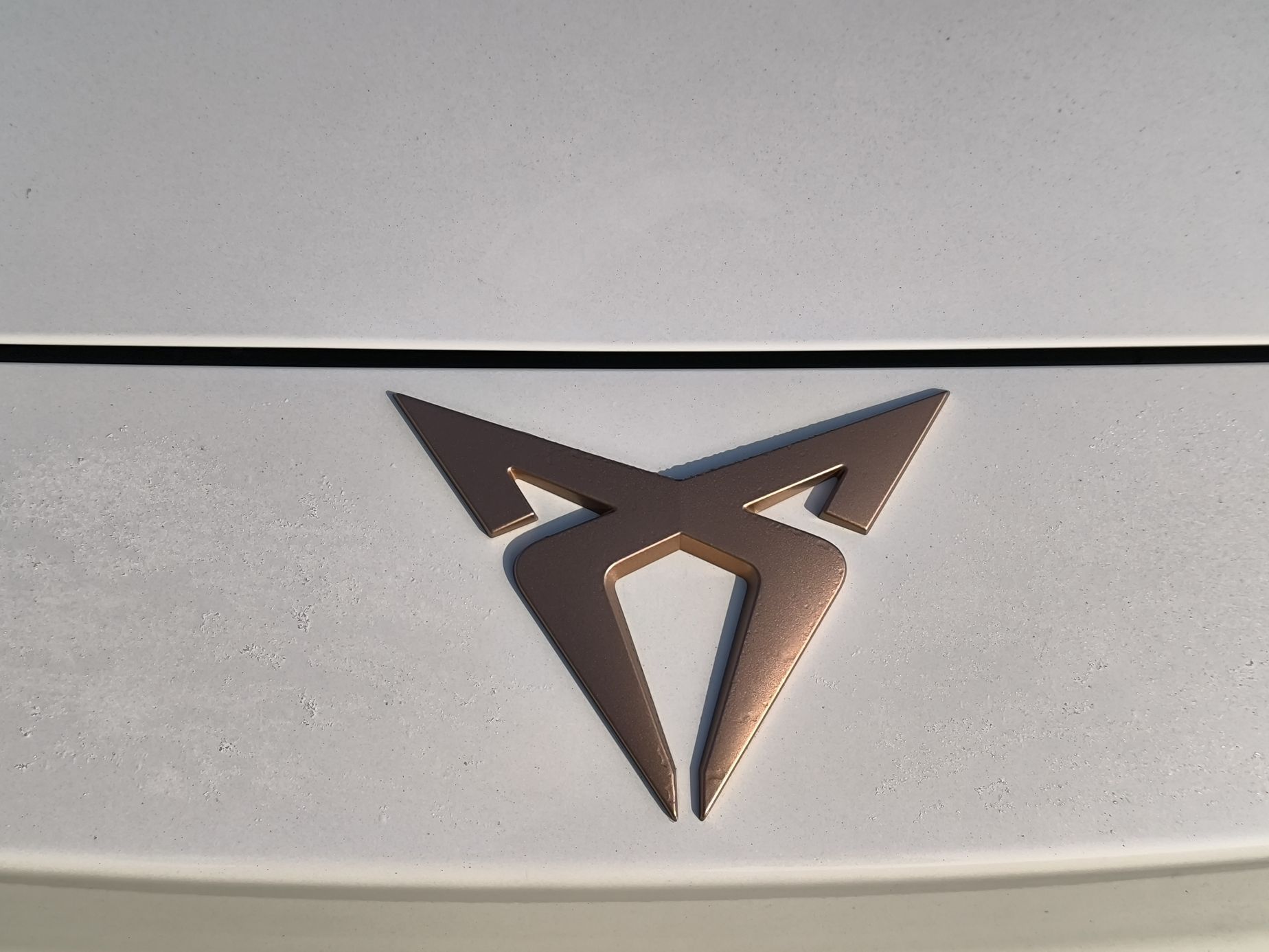Cupra Leon 300