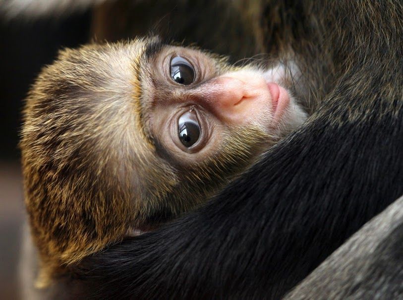 Fotím-Fotíš, snímky z komuninty na Google Plus