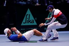 Dramatické finále razantně rozsekl Pouille, Francouzi podesáté v historii vyhráli Davis Cup