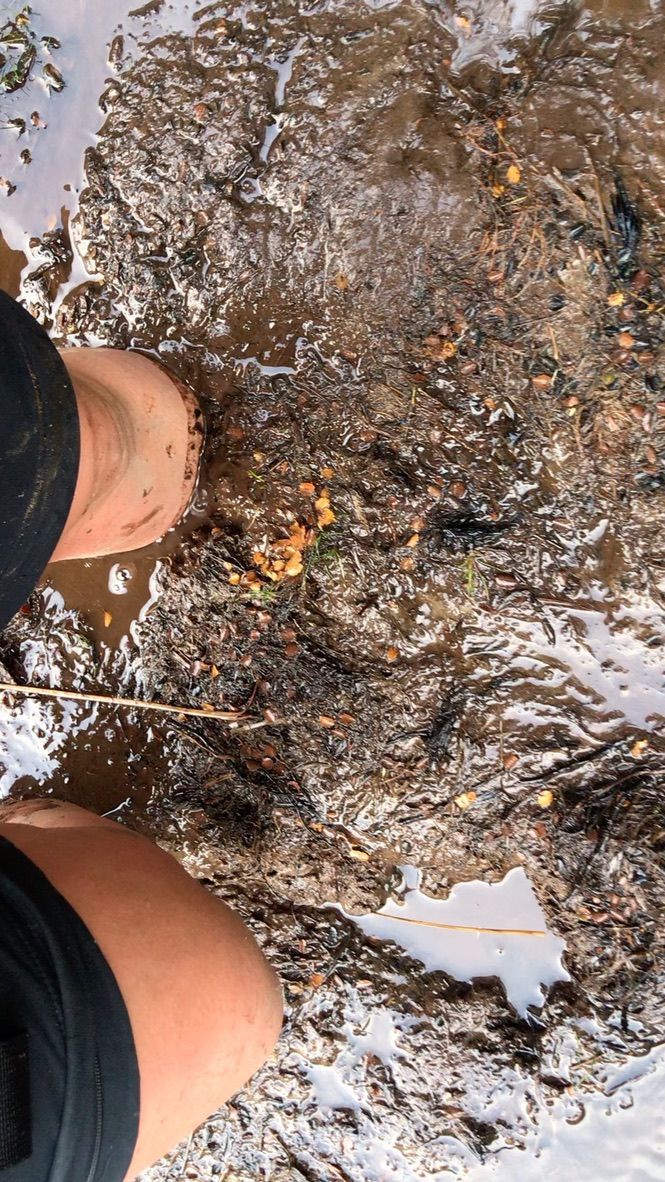 Eva Schrollová a její dobrodružství