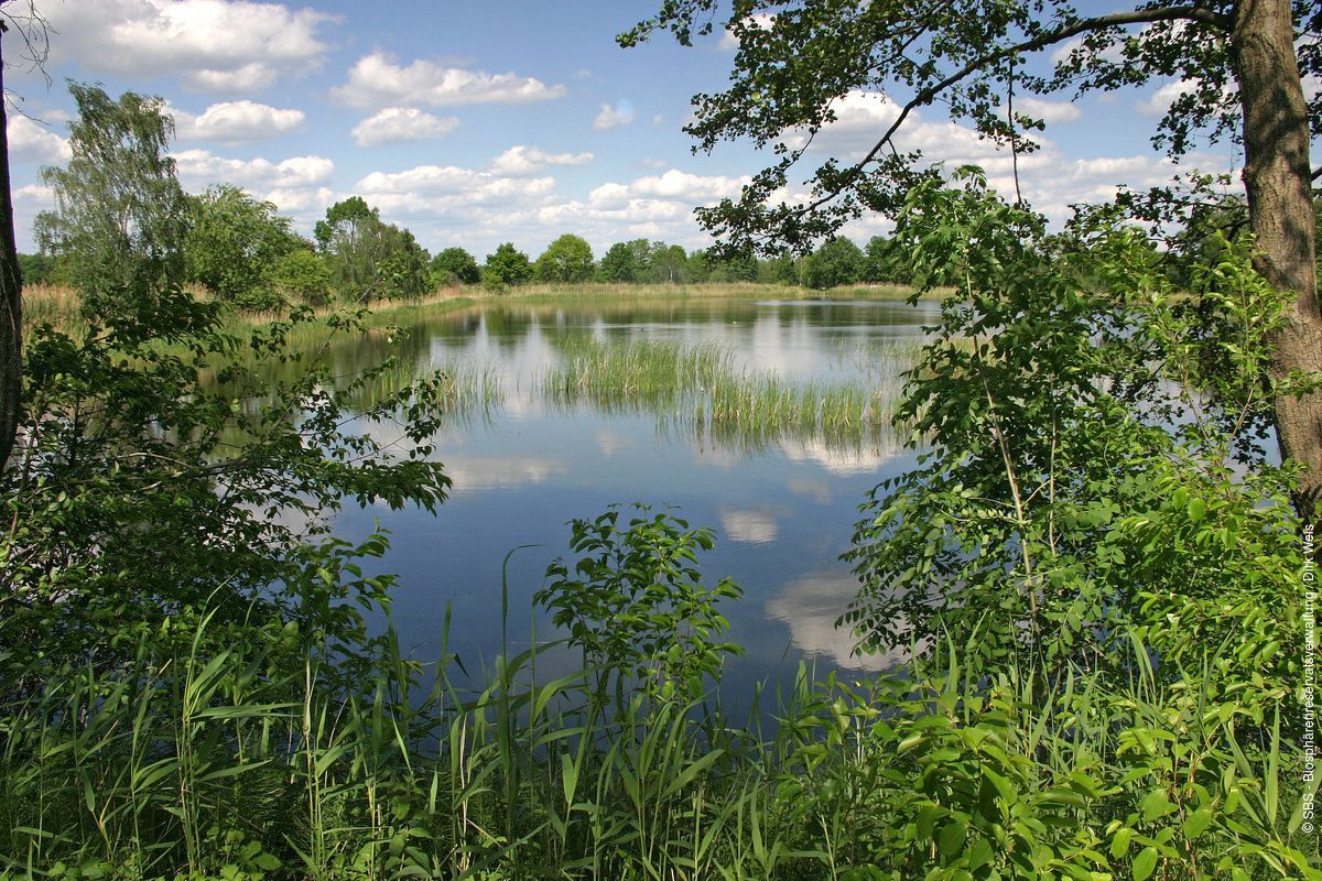 Německo koupání u jezer