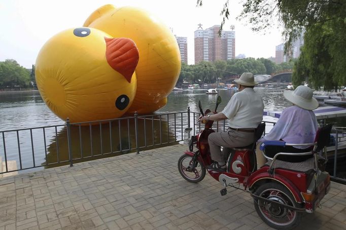 Visitors look at a scaled replica of the rubber duck by Dutch conceptual artist Florentijn Hofman as employees try to pull it upright on a lake at a park in Shenyang, Liaoning province June 9, 2013. The 13-metre-tall and 15-metre-long replica was set up on Sunday for the upcoming Dragon Boat Festival, local media reported. Picture taken June 9, 2013. REUTERS/Stringer (CHINA - Tags: SOCIETY ENTERTAINMENT) CHINA OUT. NO COMMERCIAL OR EDITORIAL SALES IN CHINA Published: Čer. 10, 2013, 4:03 dop.