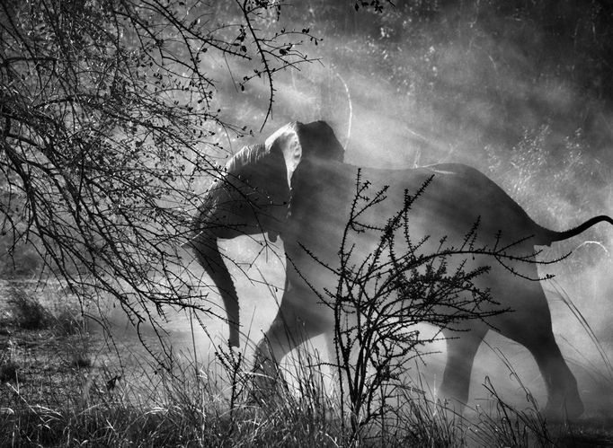 Sebastiao Salgado - Genesis