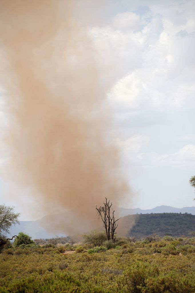 Samburu National Reserve, Maasai Mara, Kenya, Africa