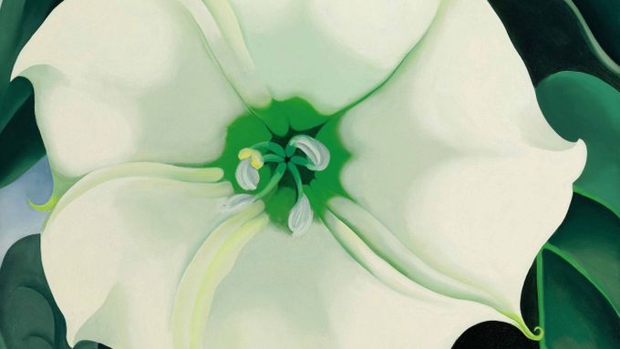 Georgie O'Keeffe: Jimson Weed/White Flower No.1.