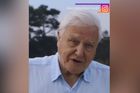 Přírodovědec Attenborough si založil Instagram, milion fanoušků získal za pár hodin