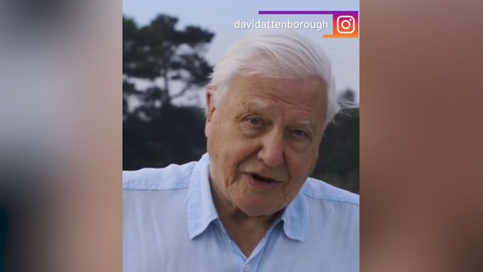 Přírodovědec Attenborough si založil Instagram, milion fanoušků nasbíral za pár hodin