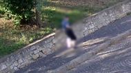 Policie, Ústecký kraj, Louny, přepadení, krimi, loupež