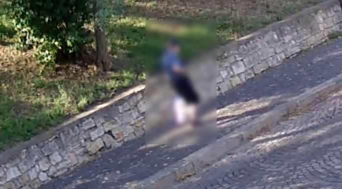 Trojice polonahých běžících mužů přepadla seniora v Žatci za bílého dne, vše zachytily kamery. Policie dopadla všechny tři pachatele, zveřejnila video.