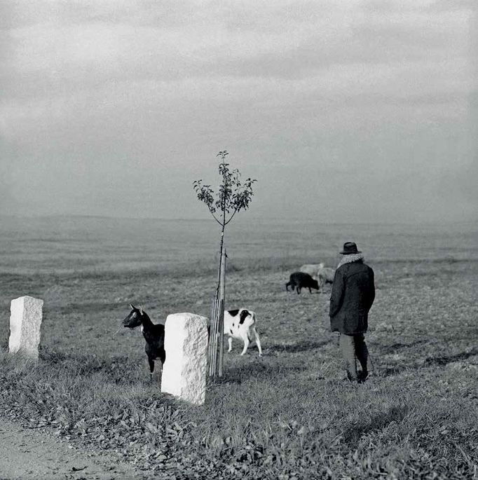 Daniel Reynek: Tatínek, (60. léta), černobílá fotografie, 365 × 365 cm