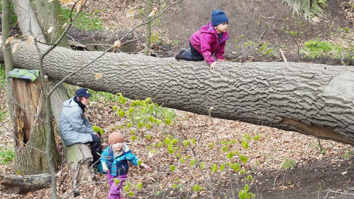 Obrazem: Místo ve třídě v divočině. Lesní školky jsou stále venku a učí děti riziku; Zdroj foto: Zuzana Hronová