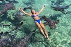 Na modelku při focení zaútočili žraloci, chtěla s nimi výjimečnou fotku na Instagram