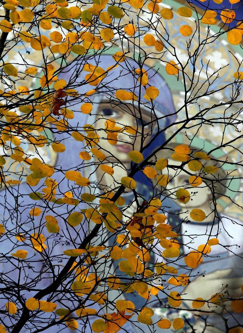 Foto: Krásy podzimu