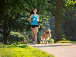 Jak běhat správně se psem: Zkuste canicross