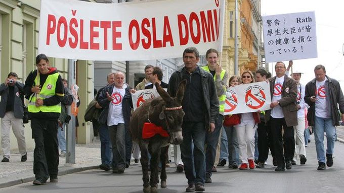 Demonstrace zdravotního personálu nejsou v Evropě výjimkou. Protestovalo se v Německu i Česku.