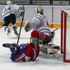 Hokej, KHL, Lev Praha - Dynamo Moskva: Nathan Oystrick - Alexander Lazušin